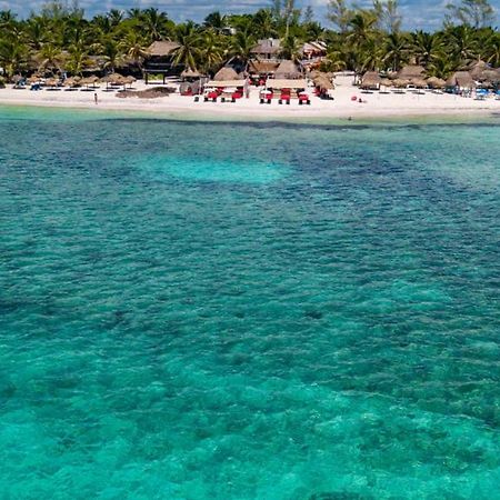 Serenity Authentic Glamping Tulum (Adults Only) Xpu Há Eksteriør billede